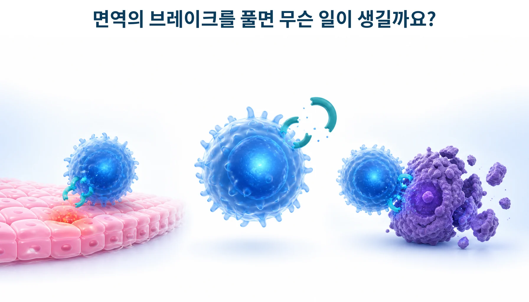 면역관련 이상반응: 면역치료 중 염증과 자가면역질환의 악화