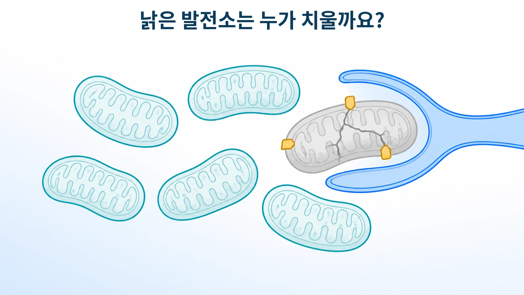 미토파지, 망가진 발전소를 치우지 못할 때