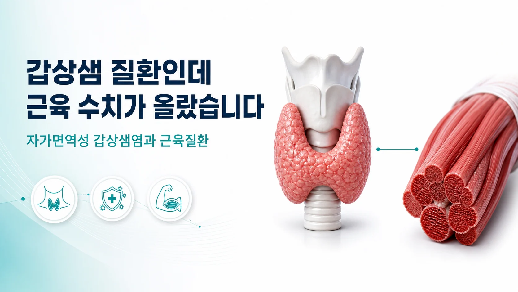 자가면역성 갑상샘염과 근육질환