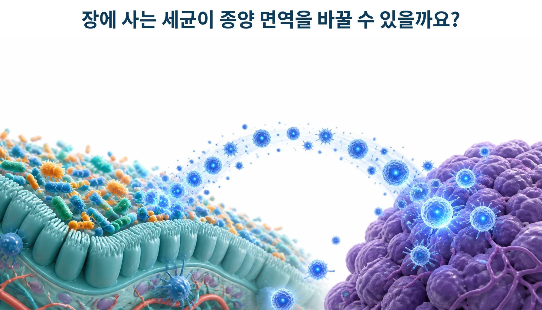 장내 미생물과 면역치료: 분변 이식 연구의 결과와 한계