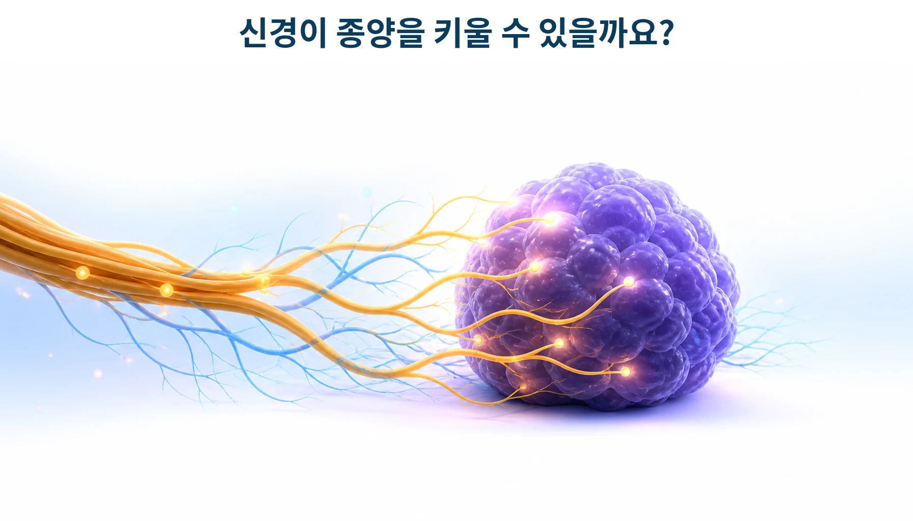 종양 신경지배와 신경주위 침습: 암·신경·면역의 상호작용