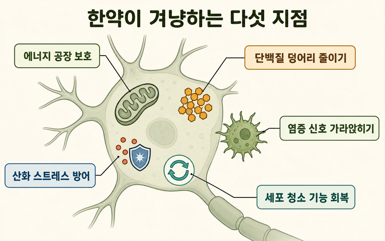 파킨슨병 치료 한의원 — 한약을 함께 썼을 때 무엇이 달라졌을까