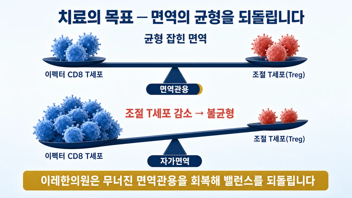 면역의 균형 — 이펙터 CD8 T세포와 조절 T세포(Treg)가 균형을 이루면 면역관용이 유지되지만, 조절 T세포가 줄면 균형이 무너져 자가면역으로 기울며, 이레한의원은 무너진 면역관용을 회복해 밸런스를 되돌린다