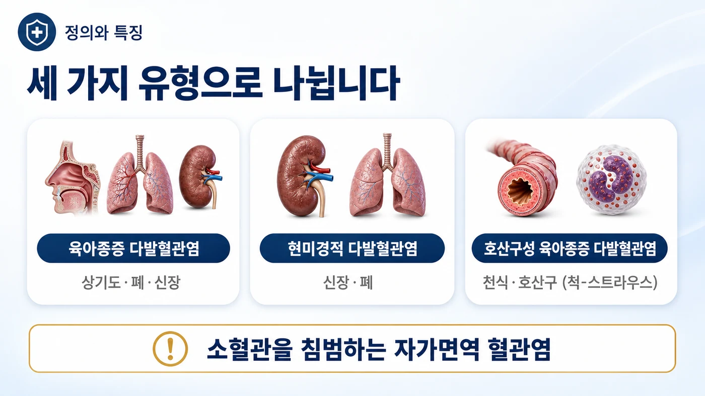 ANCA 연관 혈관염이란 — 육아종증 다발혈관염, 현미경적 다발혈관염, 호산구성 육아종증 다발혈관염(척-스트라우스)의 세 유형으로 나뉘는 소혈관 자가면역 혈관염