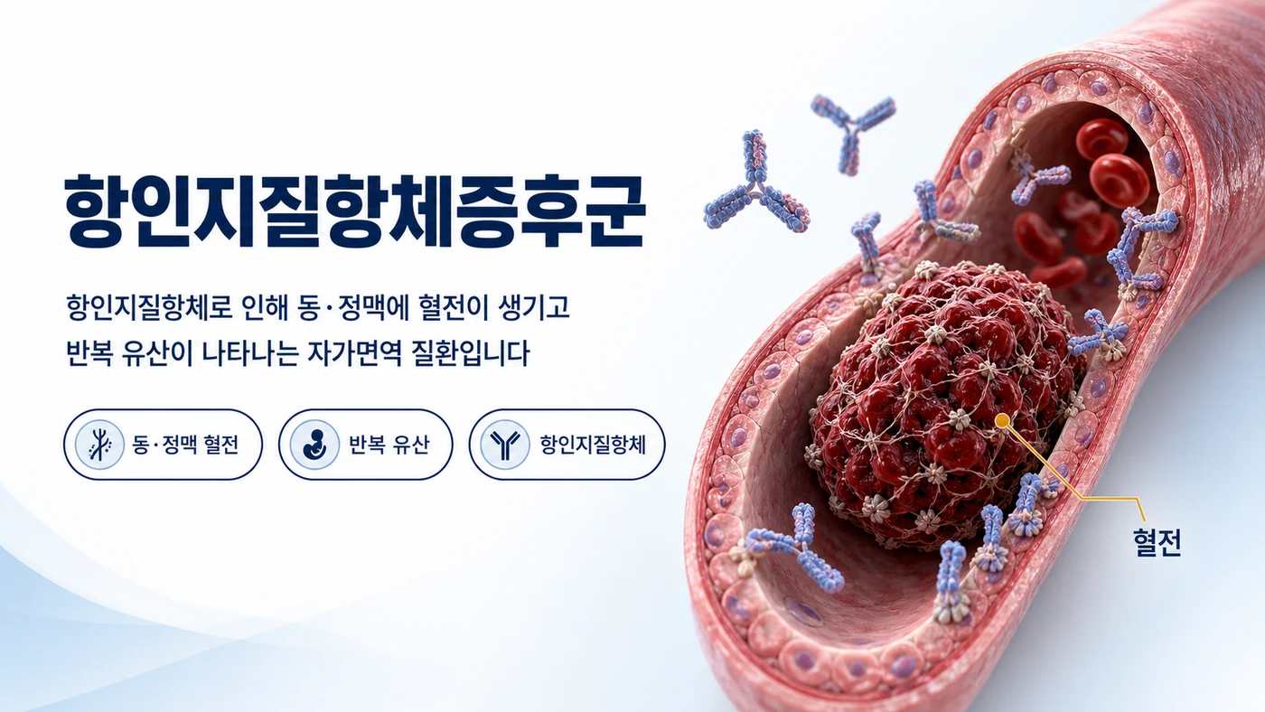 항인지질항체증후군(APS)
