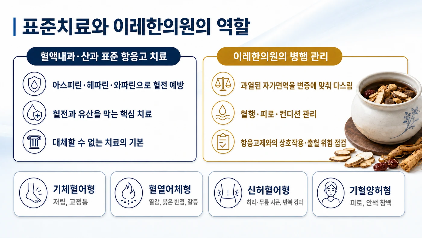 항인지질항체증후군의 표준 항응고 치료와 이레한의원 병행 관리의 역할 구분, 그리고 기체혈어형·혈열어체형·신허혈어형·기혈양허형 변증 유형을 보여줍니다.