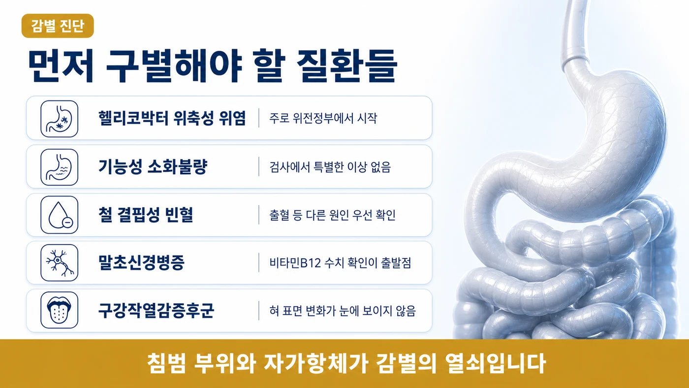 헬리코박터 위축성 위염, 기능성 소화불량, 철 결핍성 빈혈, 말초신경병증, 구강작열감증후군과의 구별 지점