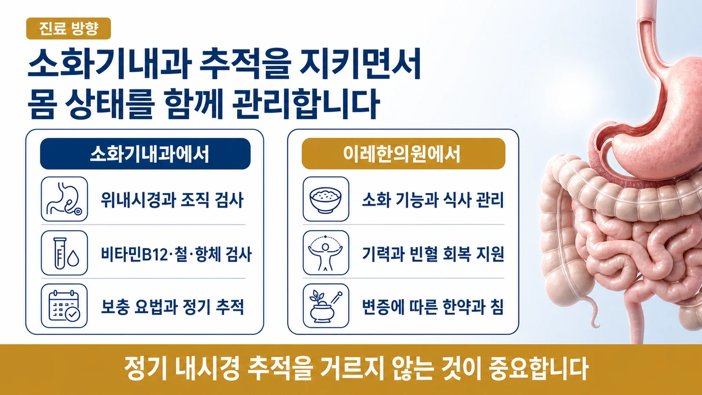 소화기내과의 내시경 추적과 보충 요법, 이레한의원의 소화·기력 관리로 나눈 진료 역할 구분