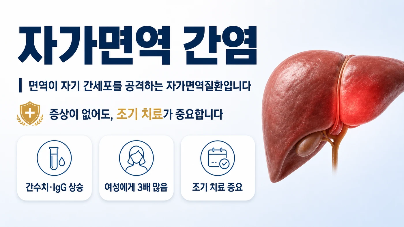 자가면역 간염 안내 — 면역이 자기 간세포를 공격해 간수치와 IgG가 오르는 자가면역질환으로 여성에게 3배 많고 증상 없이 발견되기도 함
