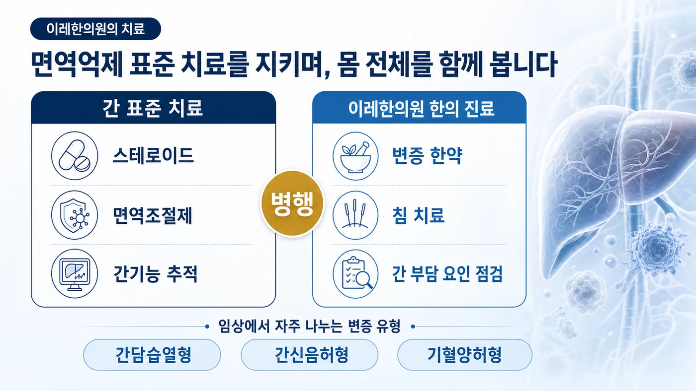 자가면역 간염 치료 — 스테로이드·면역조절제와 간기능 추적의 표준 치료를 유지하며 이레한의원의 변증 한약·침·간 부담 요인 점검을 병행하고 간담습열형·간신음허형·기혈양허형으로 변증