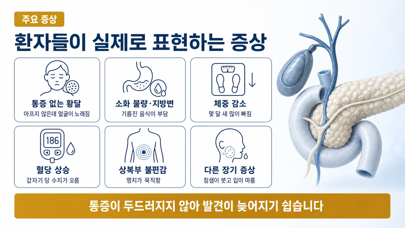 통증 없는 황달, 소화 불량, 체중 감소, 혈당 상승, 상복부 불편감, 침샘 부종 등 자가면역 췌장염의 증상