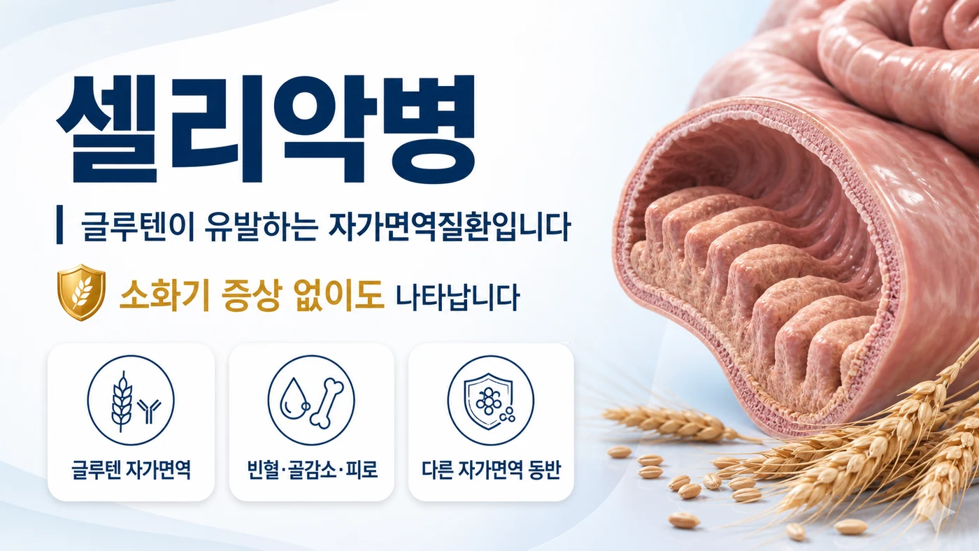 셀리악병 안내 — 밀·보리·호밀의 글루텐이 유발하는 자가면역질환으로 소화기 증상 없이 빈혈·골감소·피로로 나타나기도 함