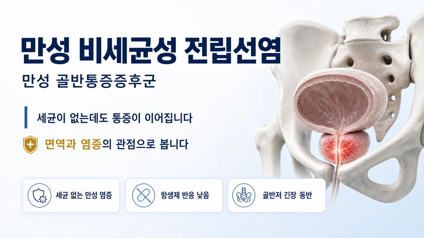 만성 비세균성 전립선염 안내 — 세균이 검출되지 않는데도 회음부·골반 통증과 배뇨 불편이 이어지며 항생제 반응이 낮고 골반저 긴장이 동반되는 만성 골반통증증후군