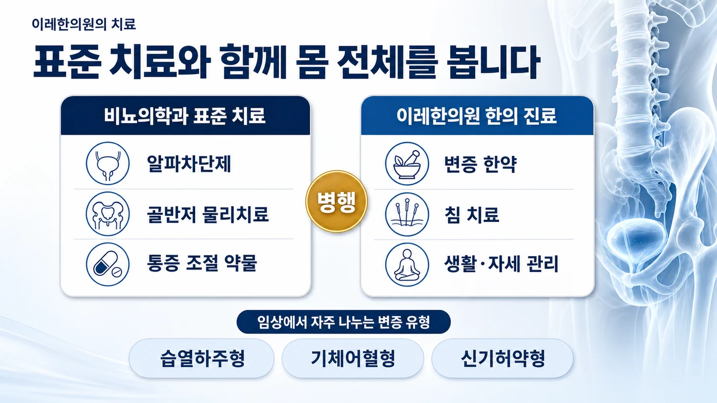 만성 비세균성 전립선염 치료 — 비뇨의학과의 알파차단제·골반저 물리치료·통증 조절 약물을 유지하며 이레한의원의 변증 한약·침·생활 관리를 병행하고 습열하주형·기체어혈형·신기허약형으로 변증