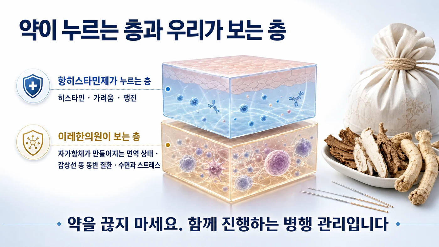 항히스타민제가 누르는 층과 이레한의원이 보는 면역 상태의 층 비교