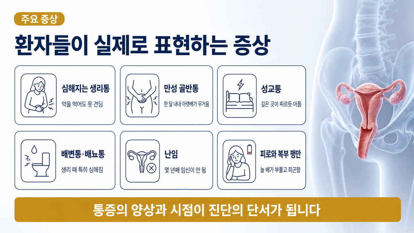 심해지는 생리통, 만성 골반통, 성교통, 배변통, 난임, 피로와 복부 팽만 등 자궁내막증 환자가 표현하는 증상