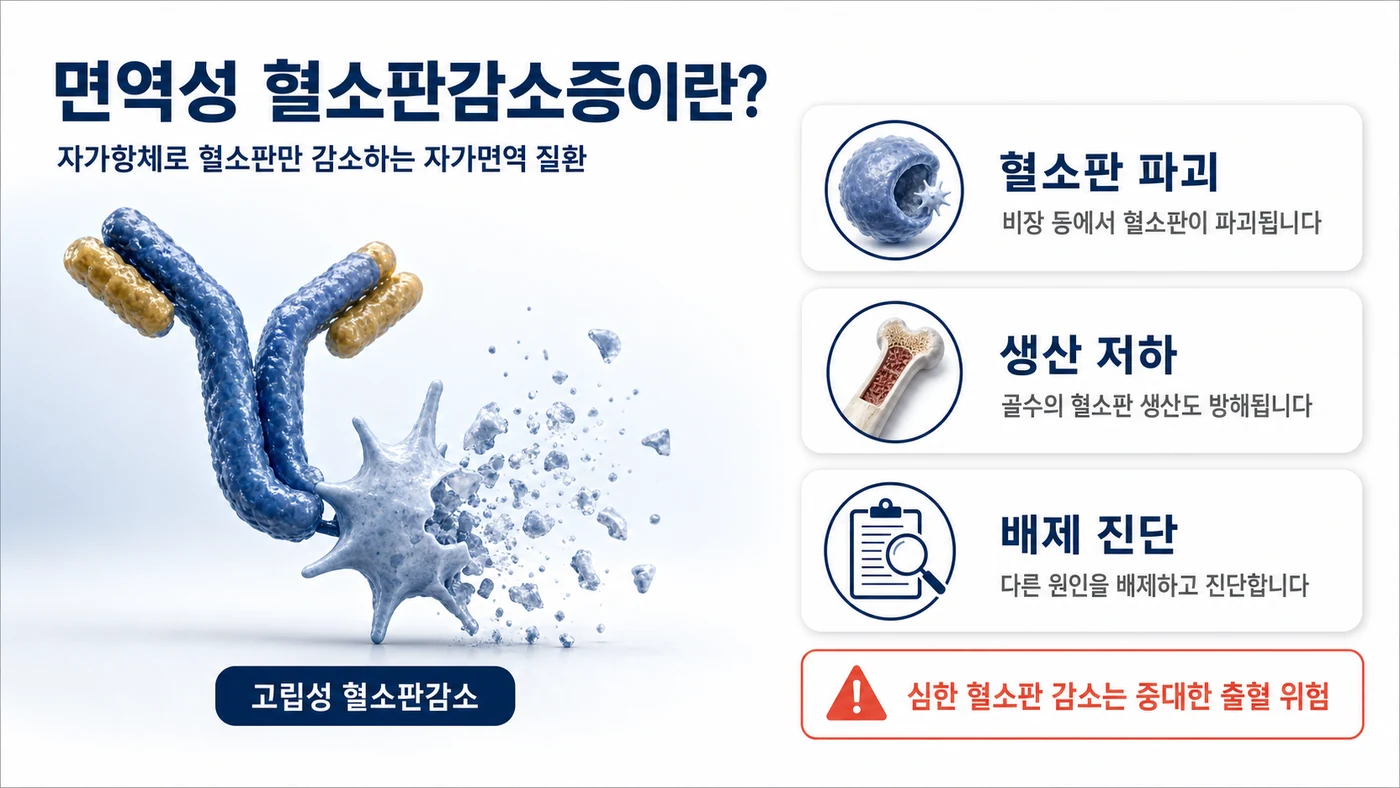 면역성 혈소판감소증의 정의 도해. 자가항체에 의한 혈소판 파괴, 골수의 생산 저하, 다른 원인을 배제하고 진단하는 배제 진단, 심한 혈소판 감소의 출혈 위험을 정리했습니다.