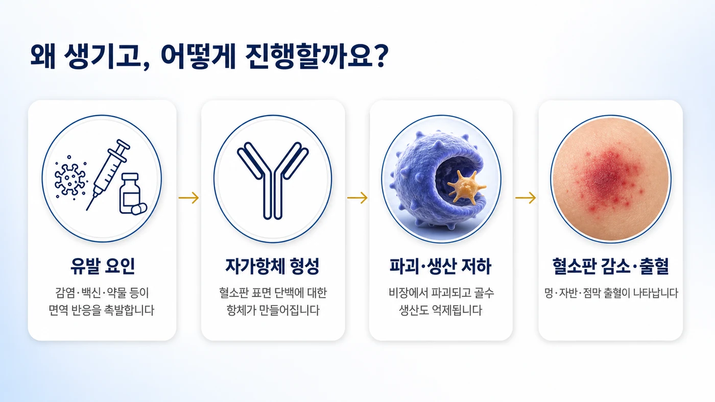 면역성 혈소판감소증(ITP)