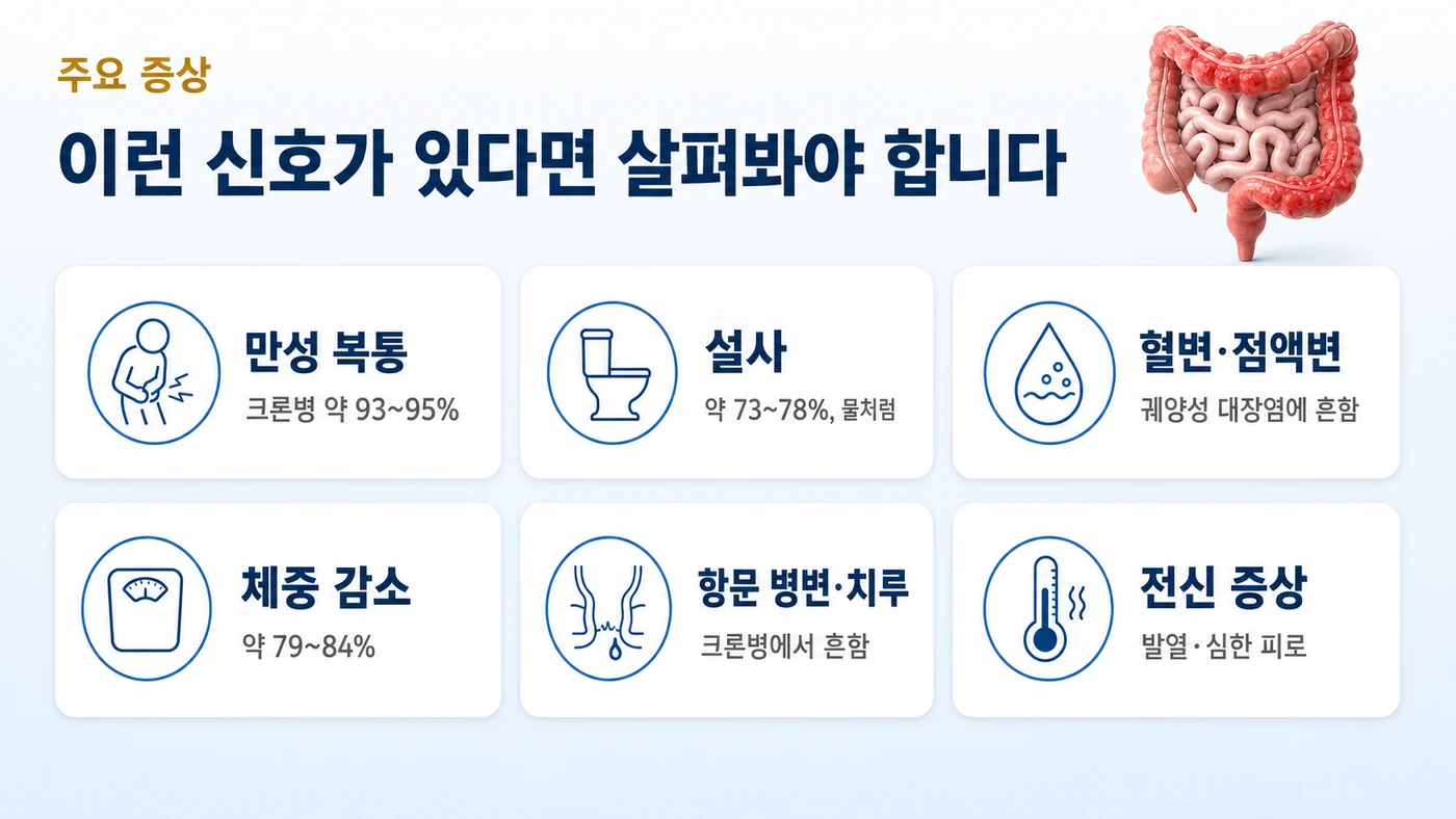 염증성 장질환의 주요 증상 — 만성 복통 93~95%, 설사 73~78%, 혈변·점액변, 체중 감소 79~84%, 항문 병변·치루, 발열·피로 같은 전신 증상