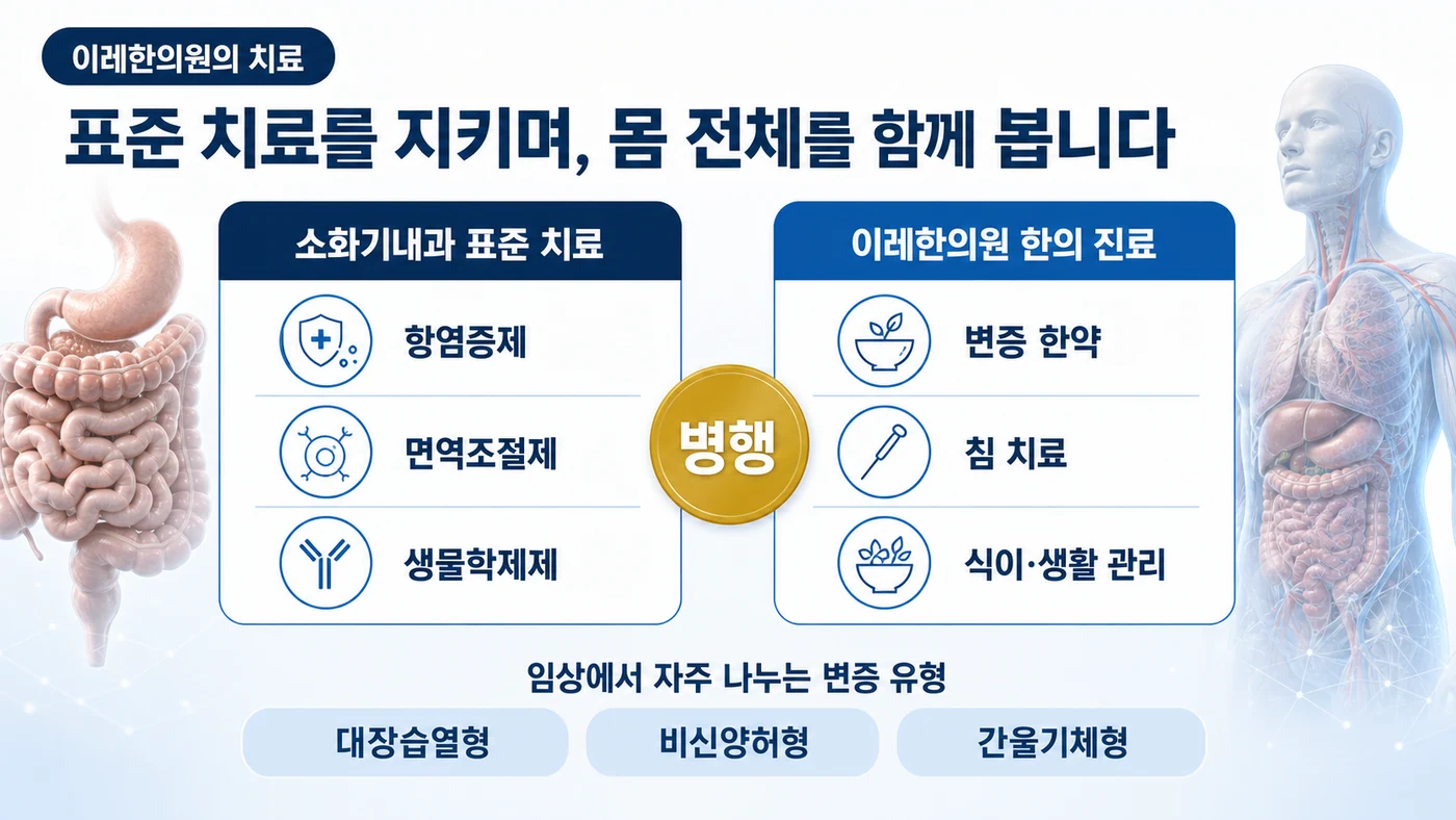 염증성 장질환 치료 — 소화기내과의 항염증제·면역조절제·생물학제제 표준 치료를 유지하며 이레한의원의 변증 한약·침·식이 관리를 병행하고 대장습열형·비신양허형·간울기체형으로 변증