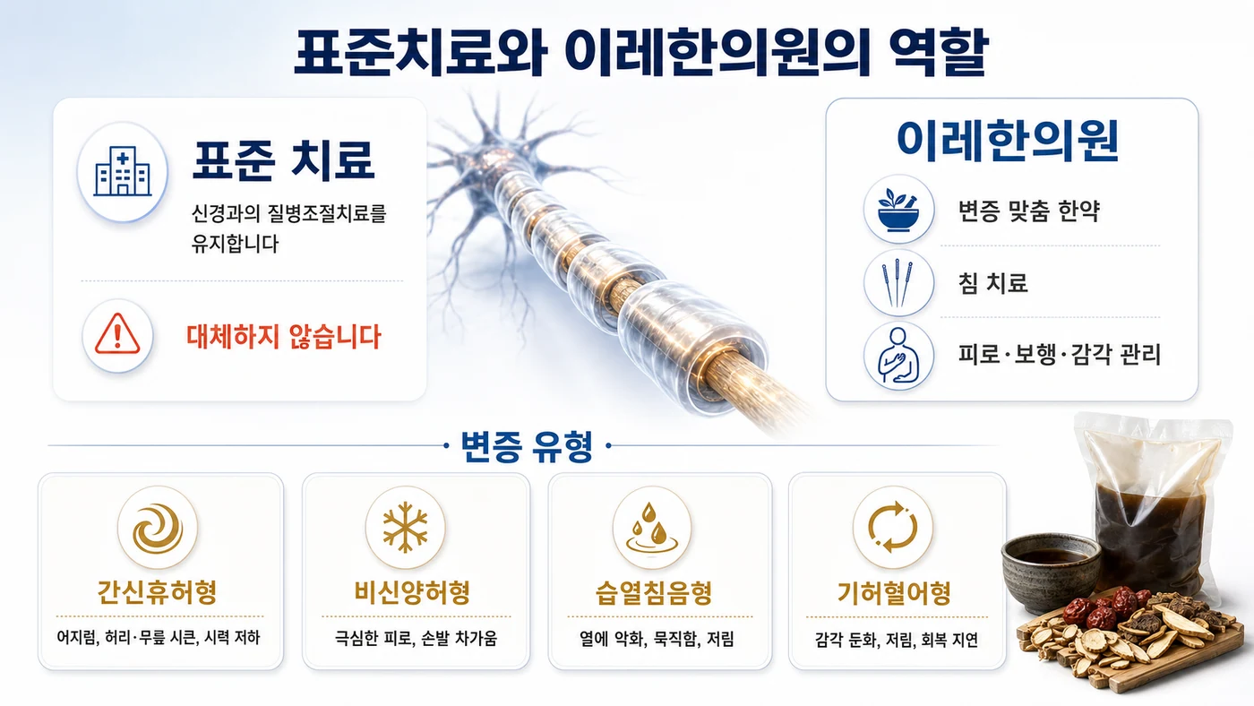 다발성경화증 치료 — 신경과의 질병조절치료를 유지하면서 이레한의원이 변증 맞춤 한약과 침 치료로 피로·보행·감각을 관리하는 구성, 간신휴허형·비신양허형·습열침음형·기허혈어형 변증 유형