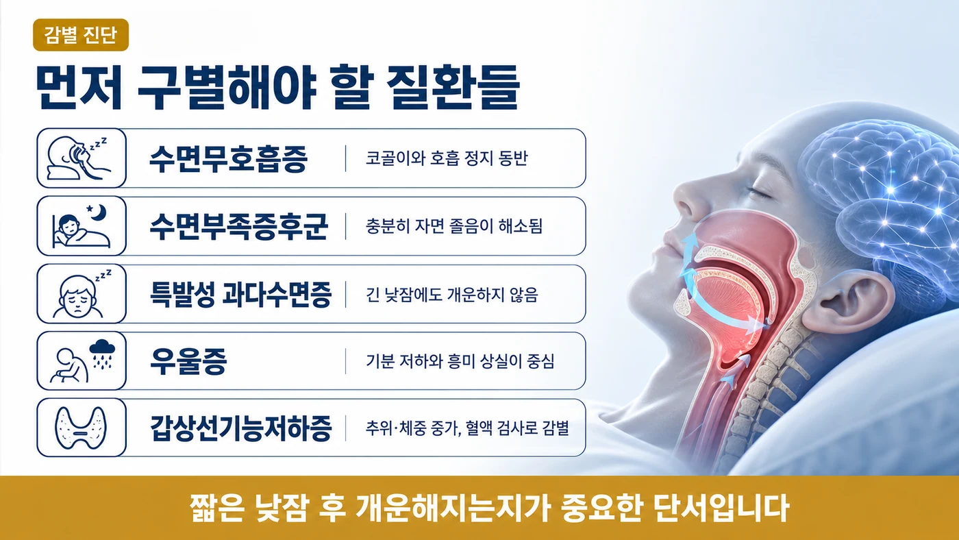 수면무호흡증, 수면부족증후군, 특발성 과다수면증, 우울증, 갑상선기능저하증과의 구별 지점