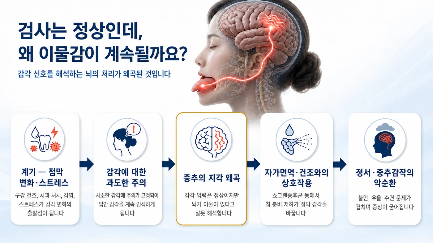 점막 변화와 스트레스를 계기로 중추의 지각이 왜곡되고 증상이 굳어지는 과정