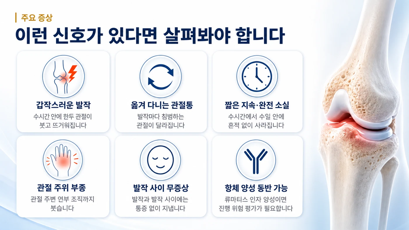 재발성 류마티즘의 주요 증상 — 갑작스러운 발작, 옮겨 다니는 관절통, 짧은 지속과 완전 소실, 관절 주위 부종, 발작 사이 무증상, 항체 양성 동반 가능