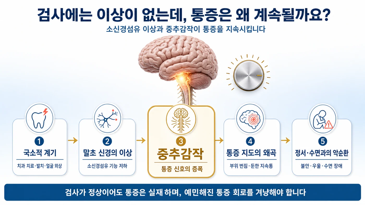 지속특발안면통증의 원인 — 소신경섬유 이상과 중추감작으로 통증이 증폭·지속되는 과정