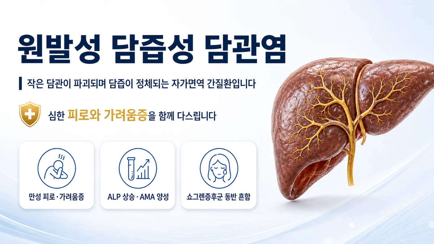 원발성 담즙성 담관염 안내 — 작은 담관이 파괴되며 담즙이 정체되는 만성 자가면역 간질환으로 심한 피로와 가려움증이 흔하고 ALP 상승·AMA 양성이 특징