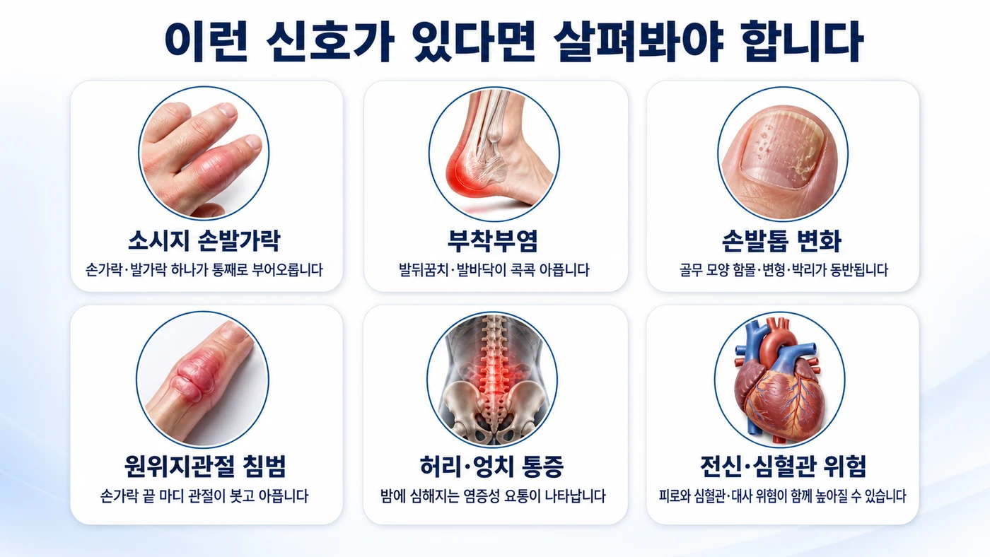 건선관절염의 주요 증상 — 소시지 손발가락, 부착부염, 손발톱 변화, 원위지관절 침범, 허리·엉치 통증, 전신·심혈관 위험