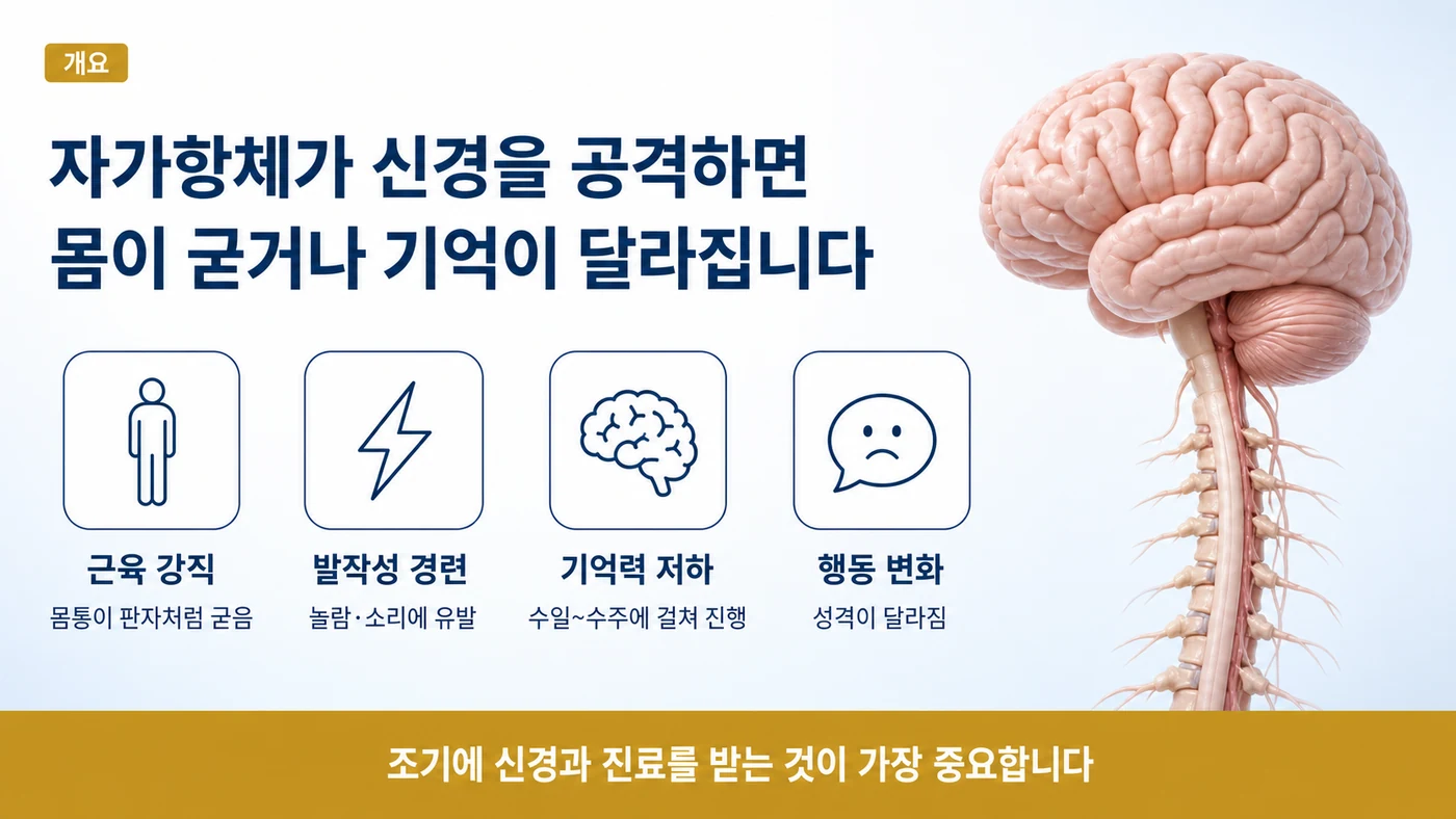 자가항체가 신경을 공격해 근육이 굳거나 기억·행동이 달라지는 강직인간증후군과 자가면역 뇌염의 네 가지 대표 양상