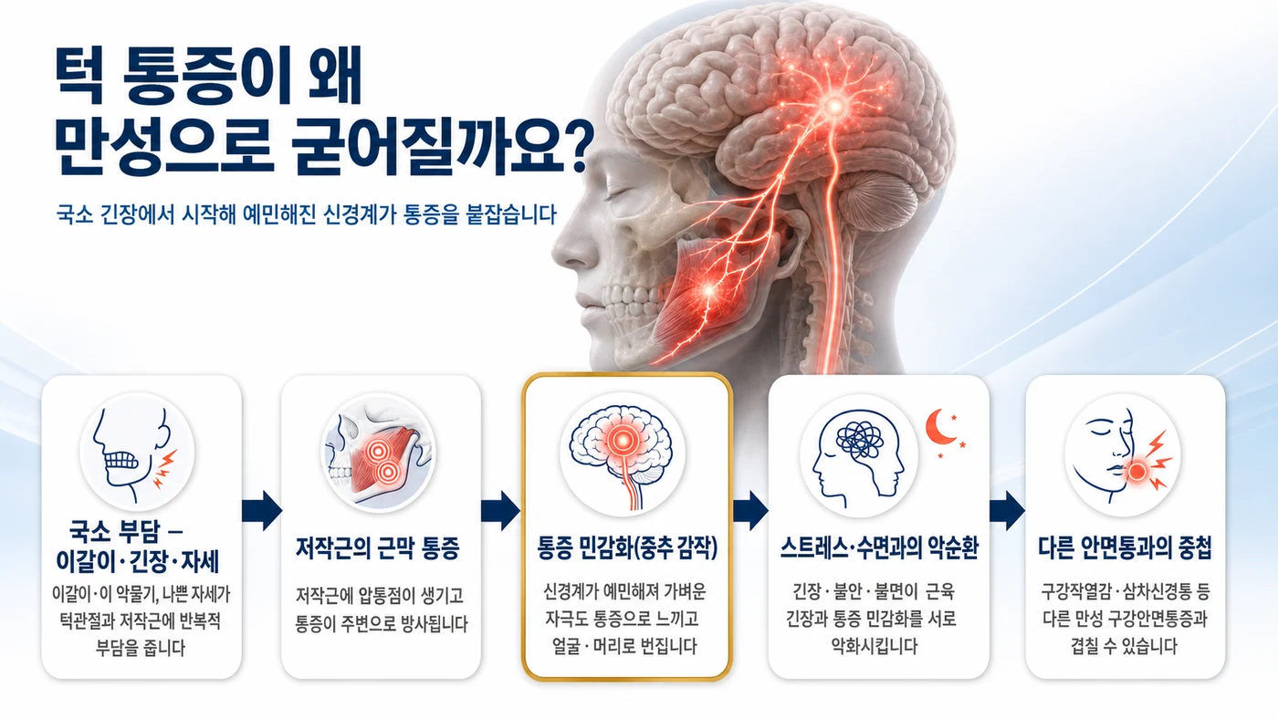 이갈이와 근막 통증에서 중추 감작으로 이어져 턱 통증이 만성화되는 과정