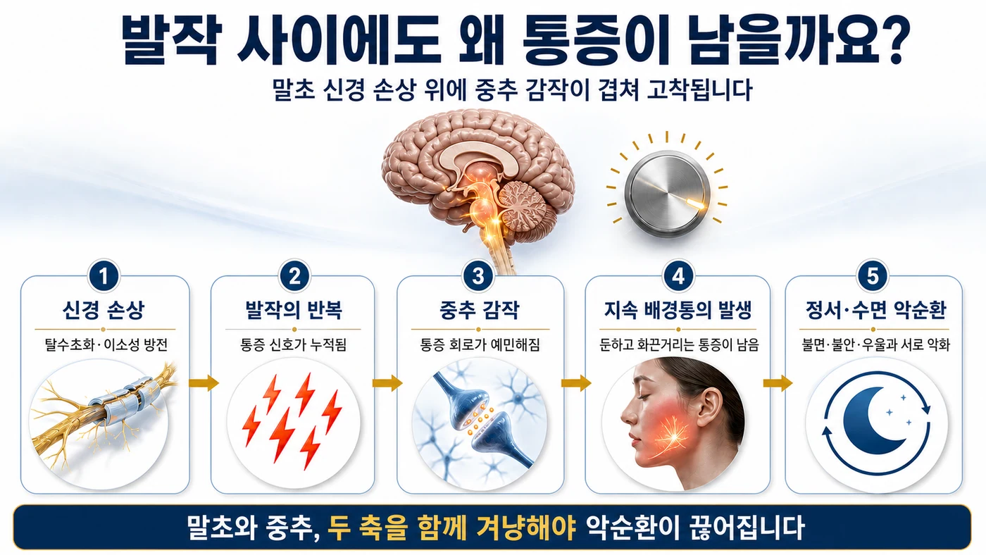 지속 배경통 동반형 삼차신경통의 원인 — 말초 신경 손상 위에 중추 감작이 겹쳐 배경통이 고착되는 과정