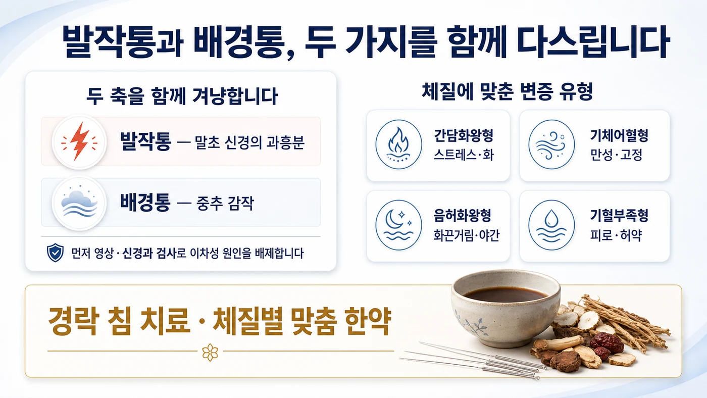 이레한의원의 지속 배경통 동반형 삼차신경통 치료 — 말초와 중추 두 축을 함께 겨냥하는 침·맞춤 한약