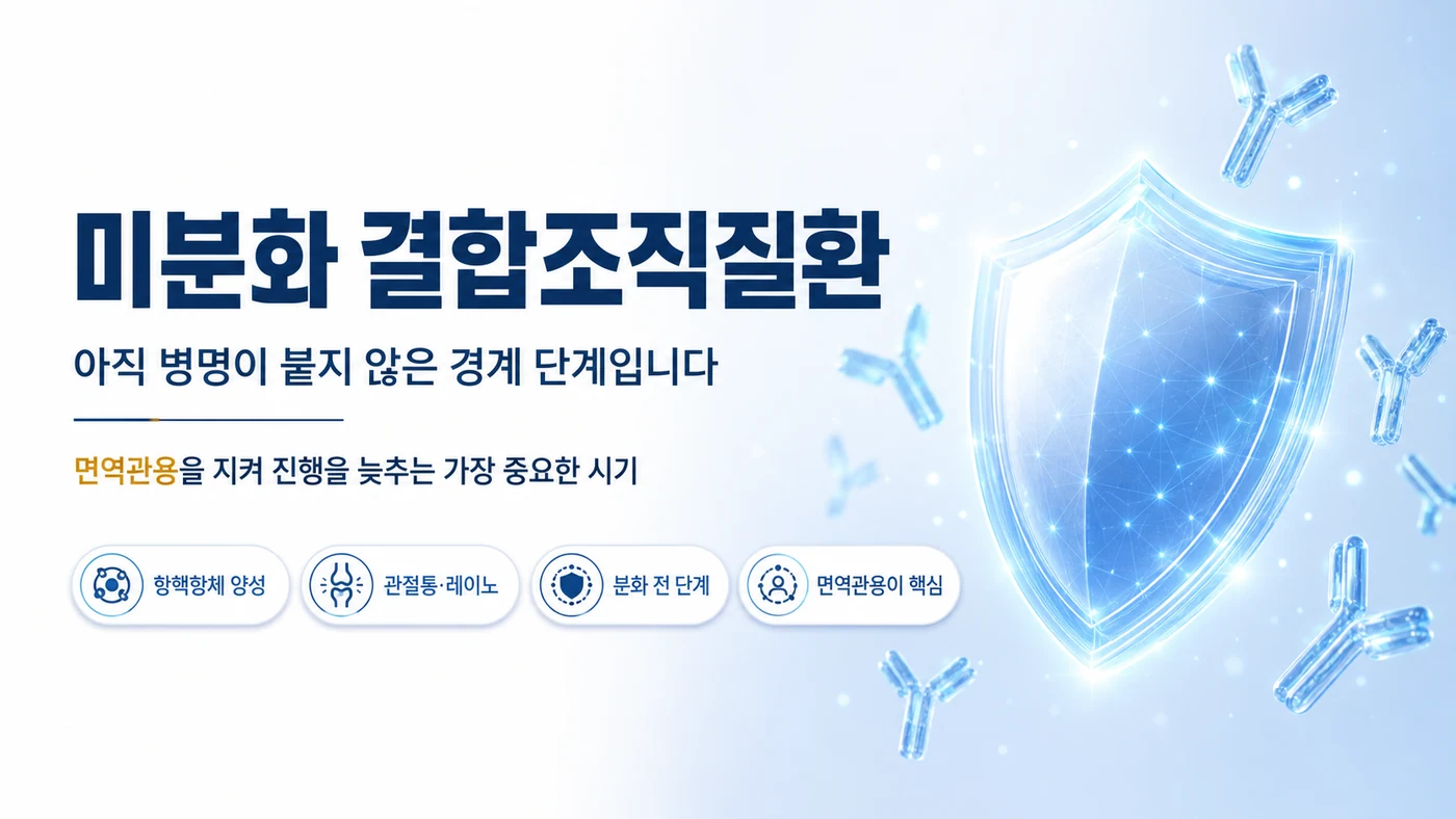미분화 결합조직질환(UCTD)