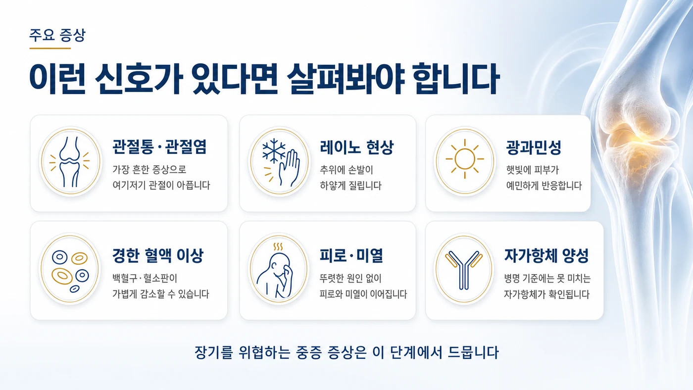 미분화 결합조직질환의 주요 증상 — 관절통·관절염, 레이노 현상, 광과민성, 경한 혈액 이상, 피로·미열, 자가항체 양성